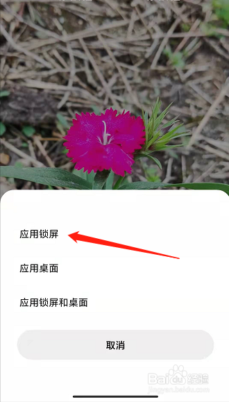 小米手机把照片设置为屏息壁纸？
