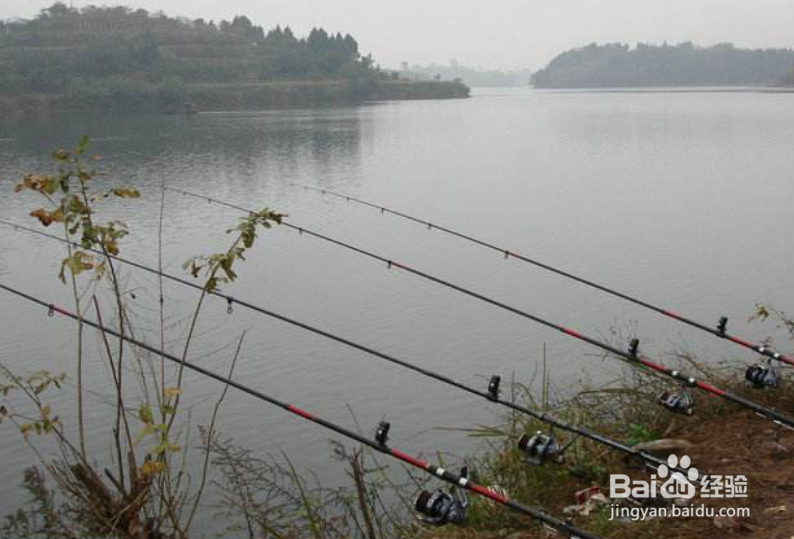 初冬不好钓鱼怎么办？冬天怎样增加鱼获