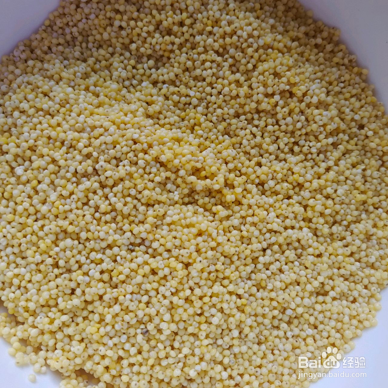 大黄米枣泥豆沙粽子的做法