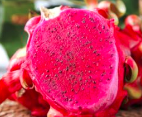 火龙果为什么这么“火”