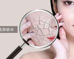 一组完整的化妆顺序