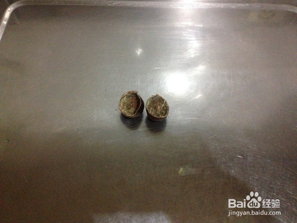 家庭栗子存储方法——怎样存储栗子、煮栗子板栗