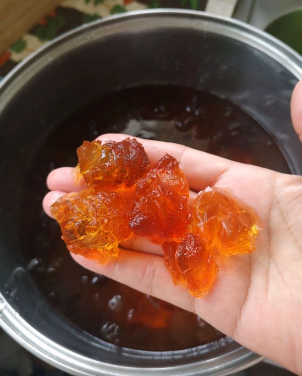 桃胶红枣美容养颜羹