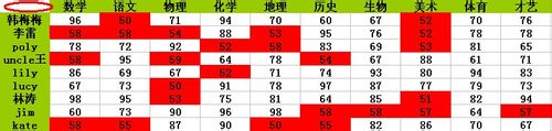 如何使用excel的条件格式