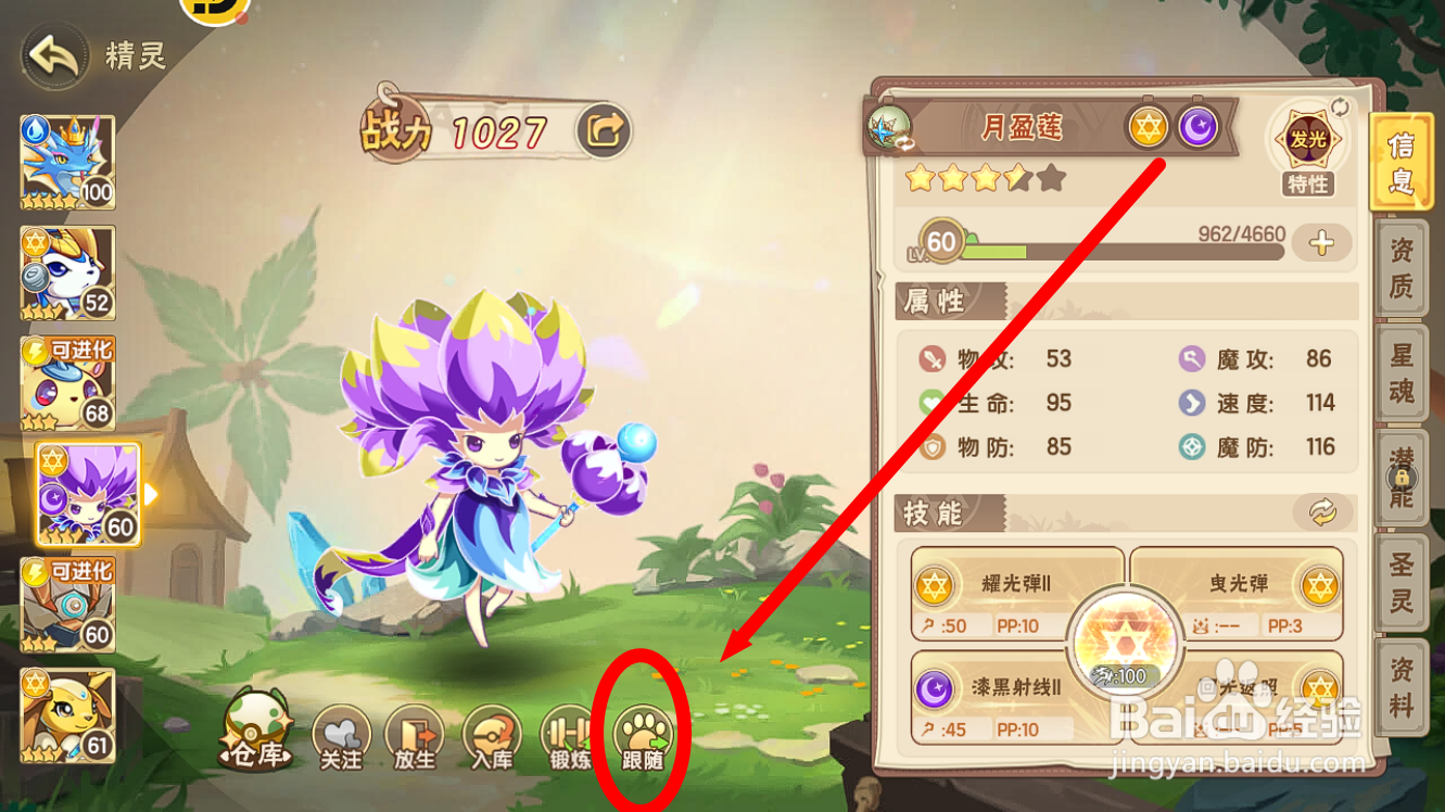 西普大陆怎么设置【月盈莲】作为跟随精灵？