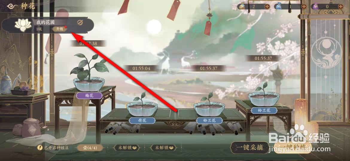 花亦山心之月怎么升级花圃