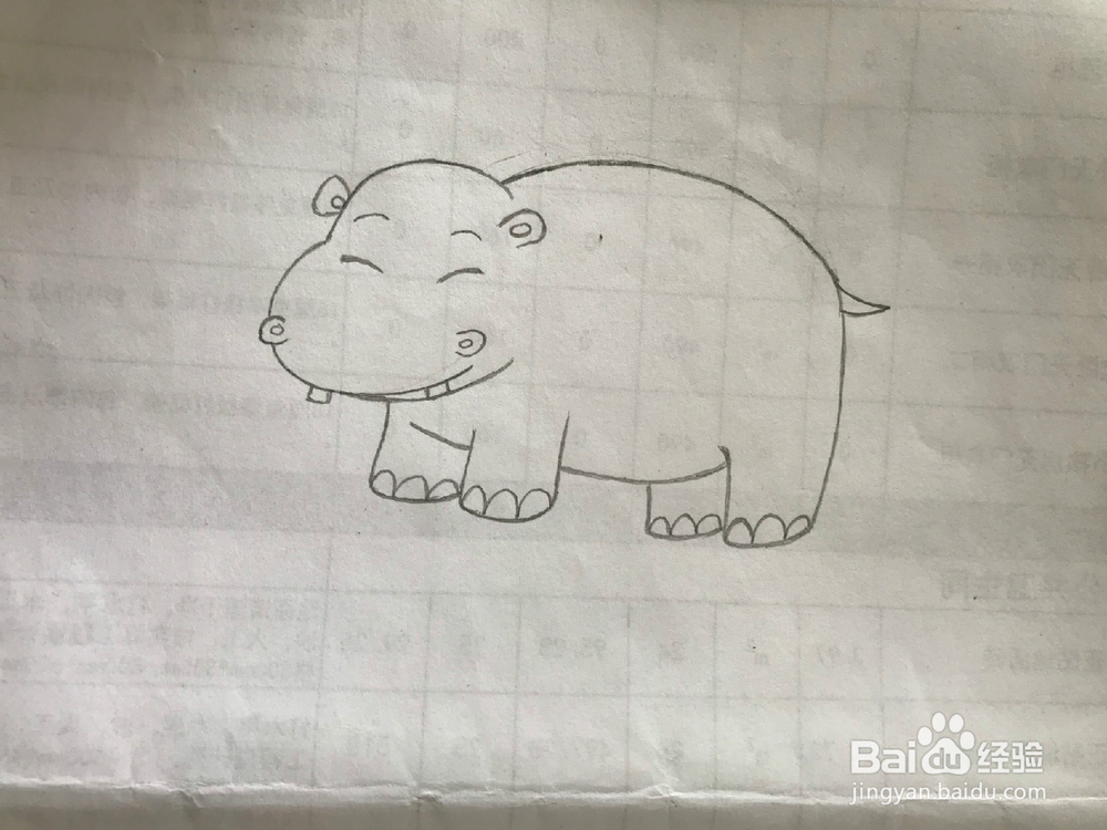 简笔画之大河马