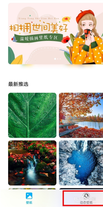 荣耀50pro如何启用动态桌面