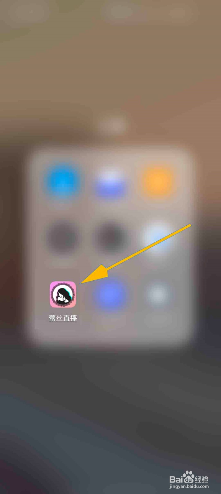 蕾丝直播app怎么查看我的座驾信息