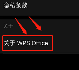 苹果wps在哪里查看版本号