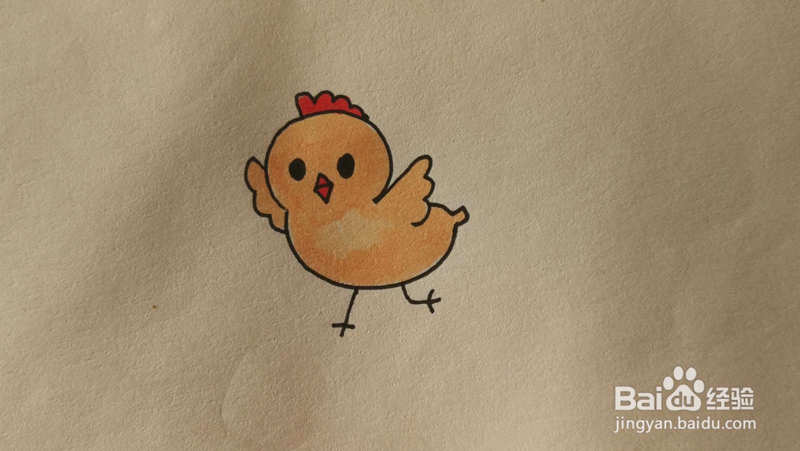 #经验分享官#小鸡的简笔画