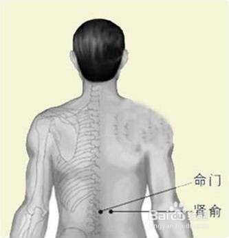艾灸养生保健穴位讲解
