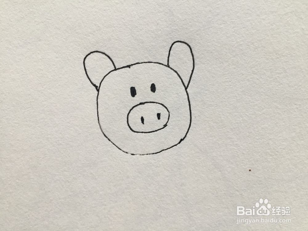 如何画一个简单的小猪简笔画