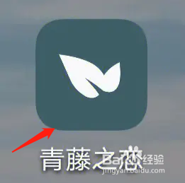 青藤之恋怎么绑定微信