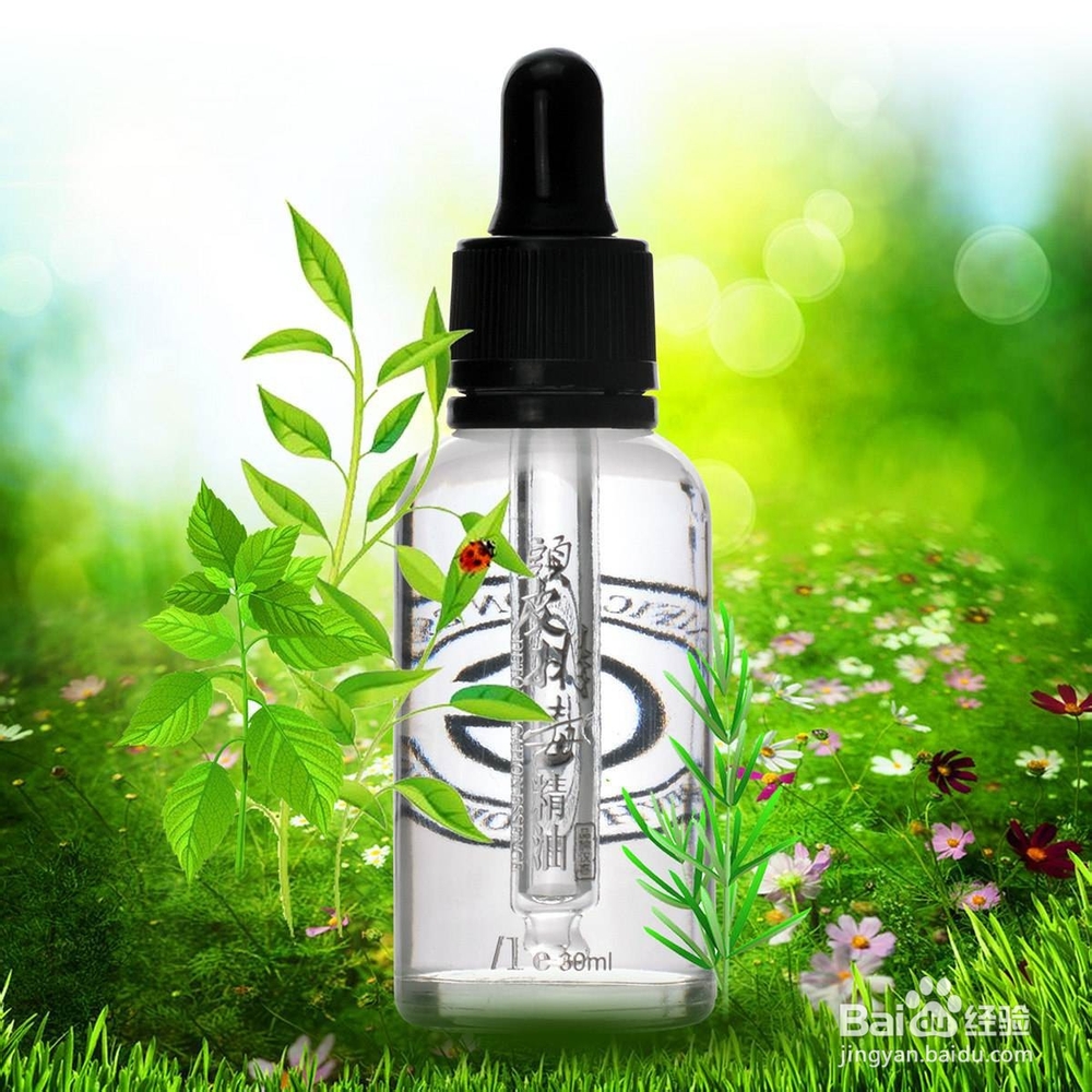 各种精油的功效和使用方法