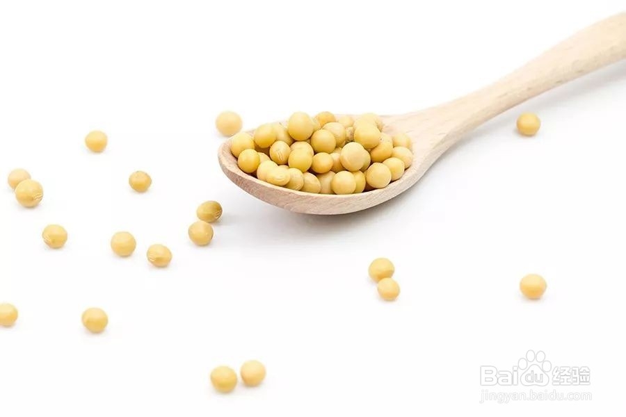 过劳胖怎么瘦下来