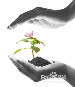 大姨妈前后的护肤是重中之重,你造吗
