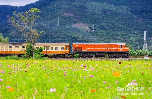 台湾花莲旅游攻略,爸爸去哪儿2路线
