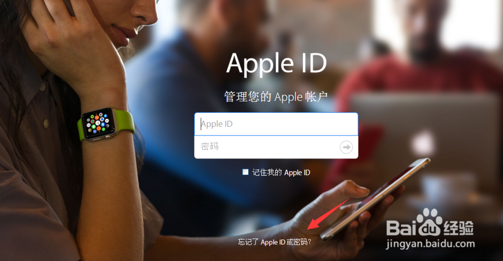苹果手机id/Apple id密码忘了怎么办
