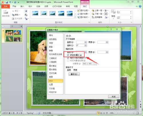 ppt中如何将多张图片修改成相同的大小