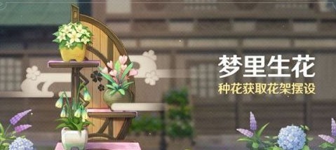 原神梦里生花活动怎么种花