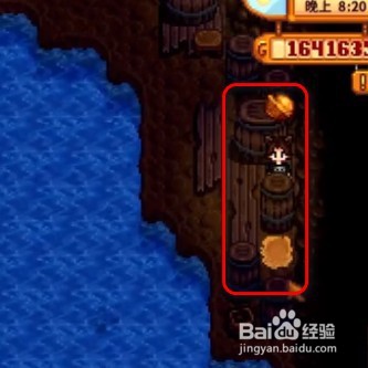 星露谷物语中金核桃如何获取