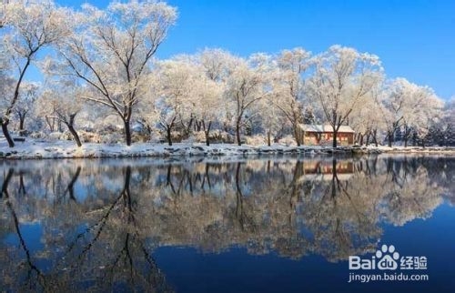 旅游攻略：[2]初雪兆丰年 京城城区赏雪好去处