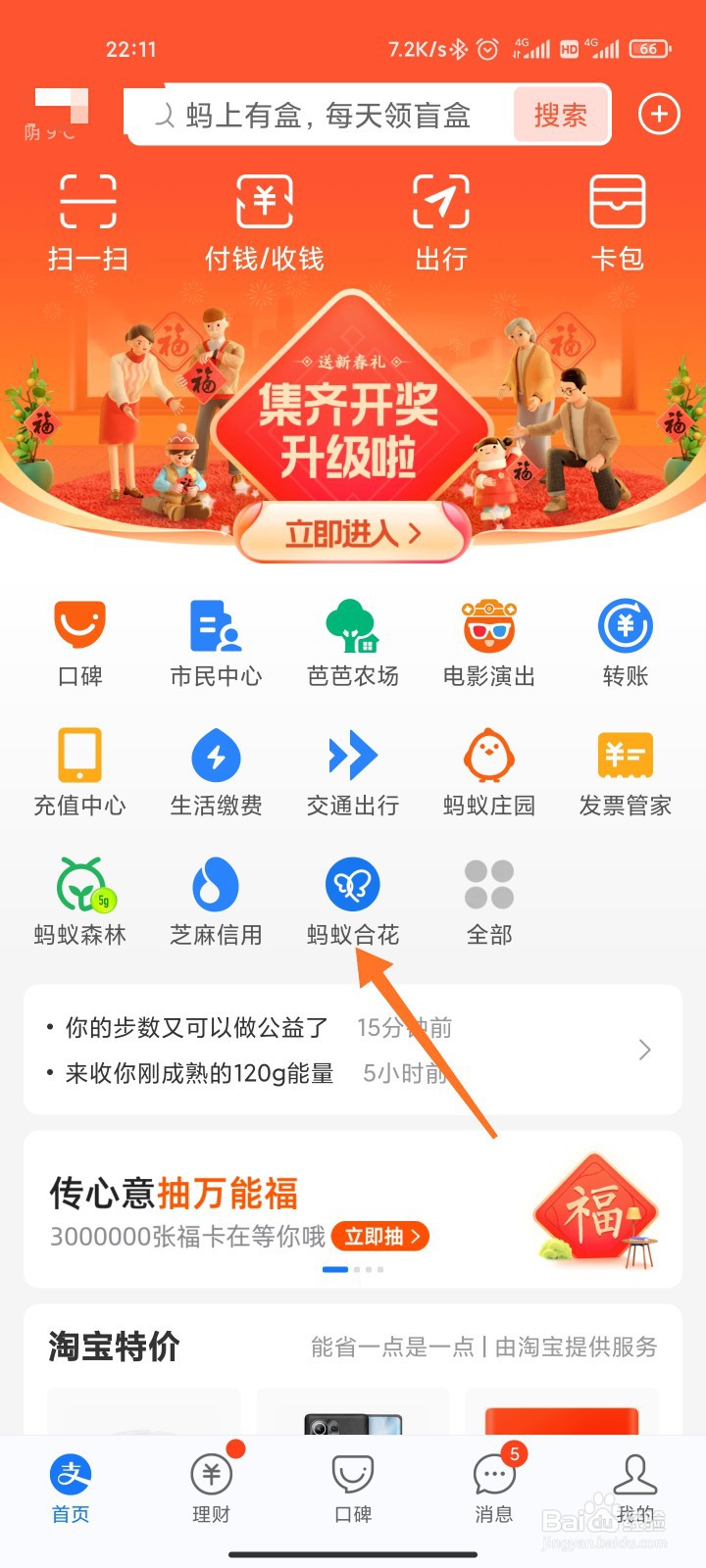 蚂蚁合花群怎么建