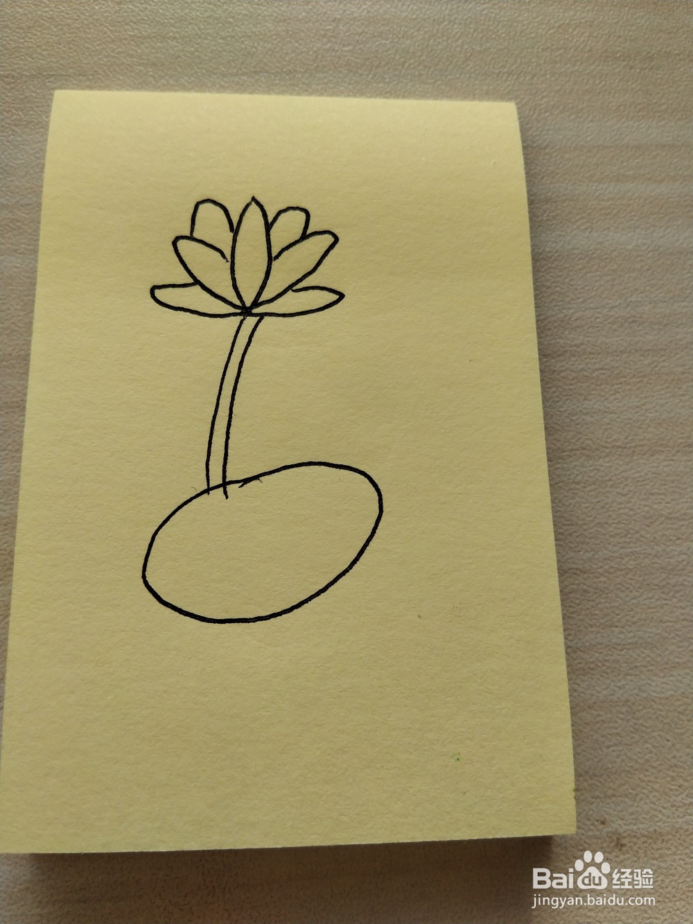 荷花的简笔画怎么画