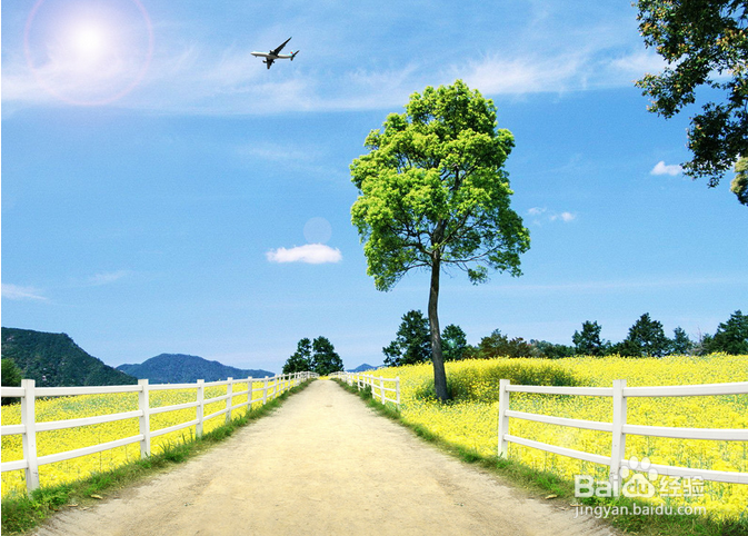 春季健康养生原则