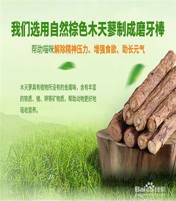 如何选购猫用磨牙啃咬棒