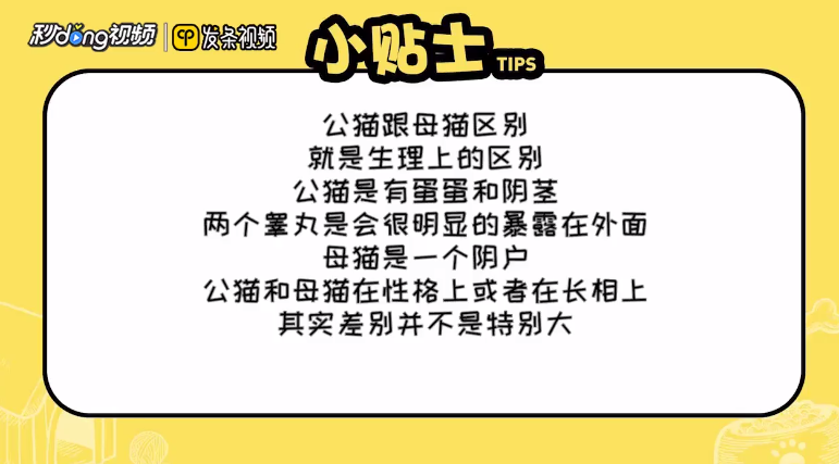 狗被车撞了怎么恢复
