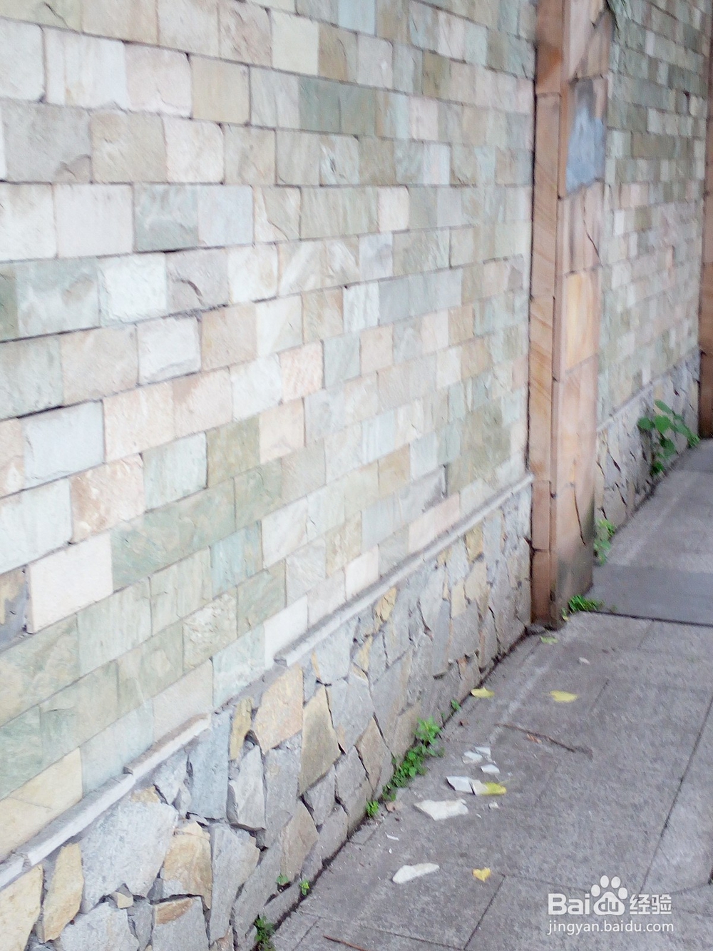 如何防范暴雨和洪涝