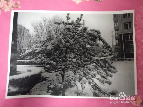 Windows7系统如何用默认打开图片程序打印图片