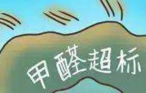 地板屎臭味怎么去除