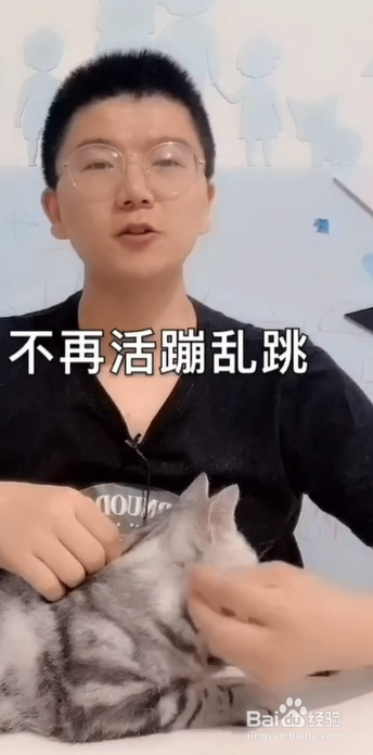 猫咪缺钙会怎样？