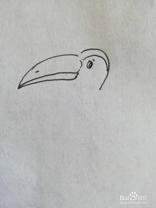 大嘴鸟简笔画怎么画