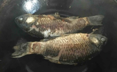 鲫鱼冬瓜浓汤