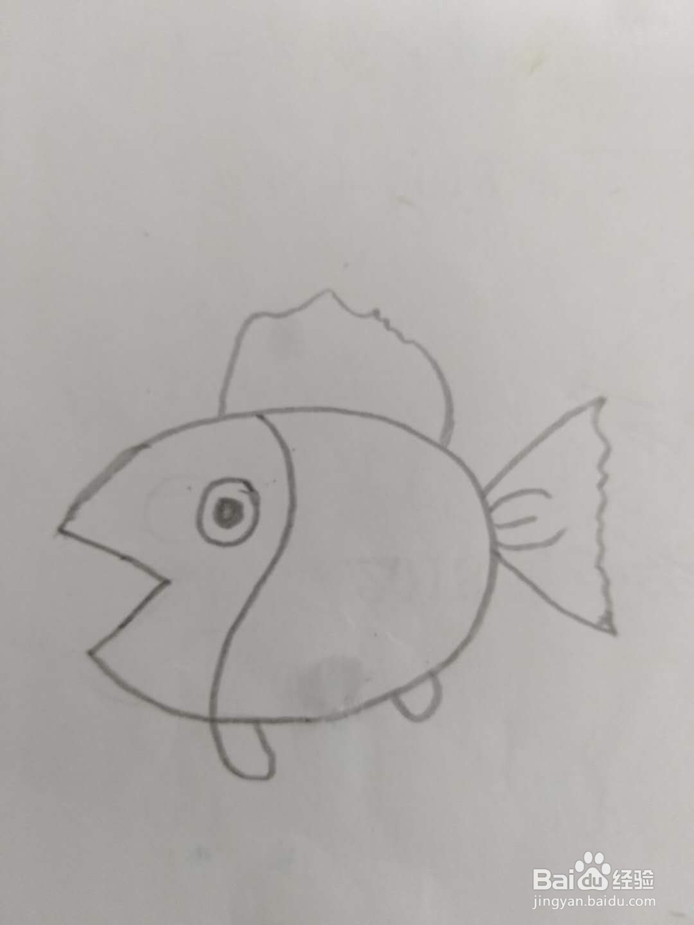 儿童简笔画,教你画金鱼