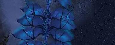 魔兽世界7.1苏拉玛散播谣言任务怎么做完成?