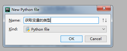 Python教程 获取变量的类型