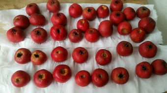 糖炒山楂的做法