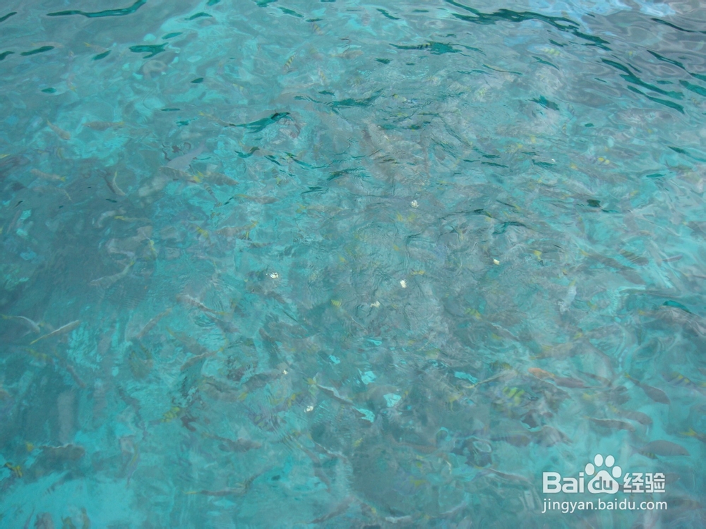 背包吧，少年！泰国自助游：[3]转机宿机场