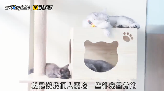 人得了猫藓可以自愈吗