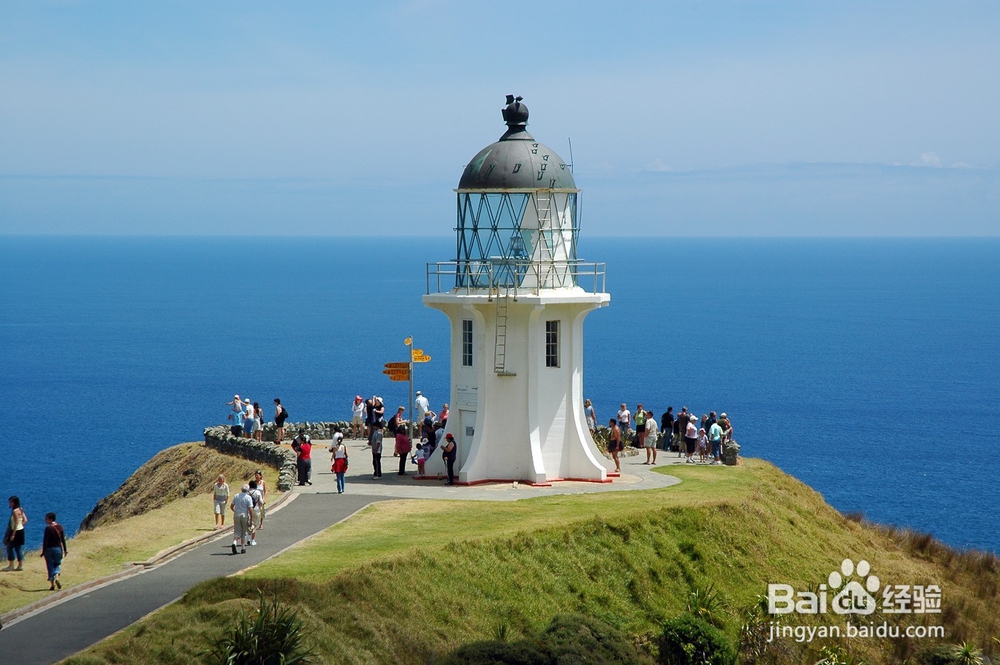 新西兰公司存续状态的公证认证