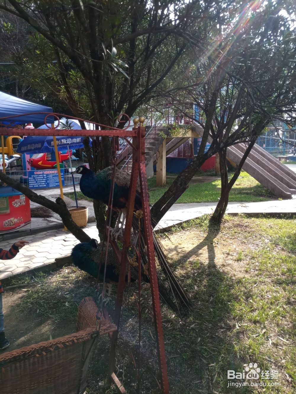 云南游之保山市太保山森林公园