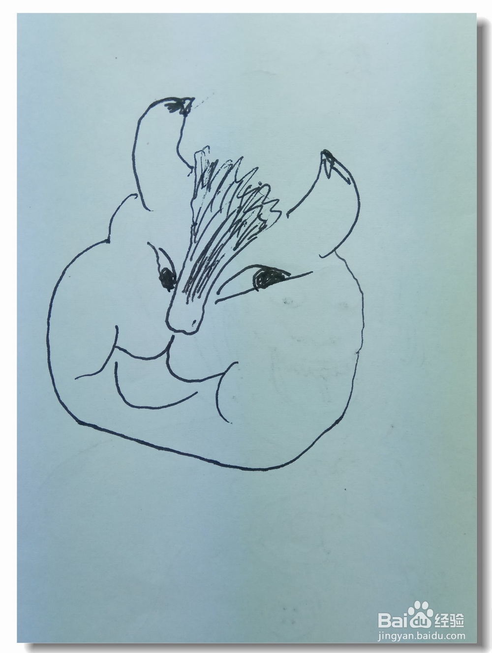 怎样画钢笔画猫？