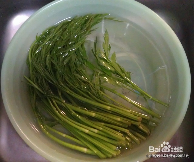 变出美味－－蛋皮肉丝炒水芹