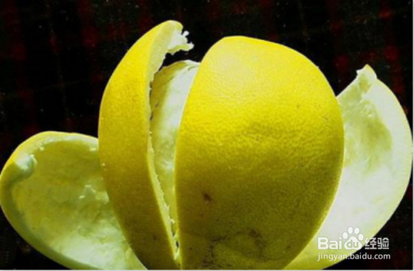 养花有小飞虫怎么办