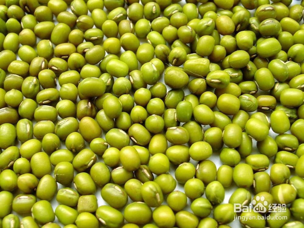 乳腺结节吃什么散结快